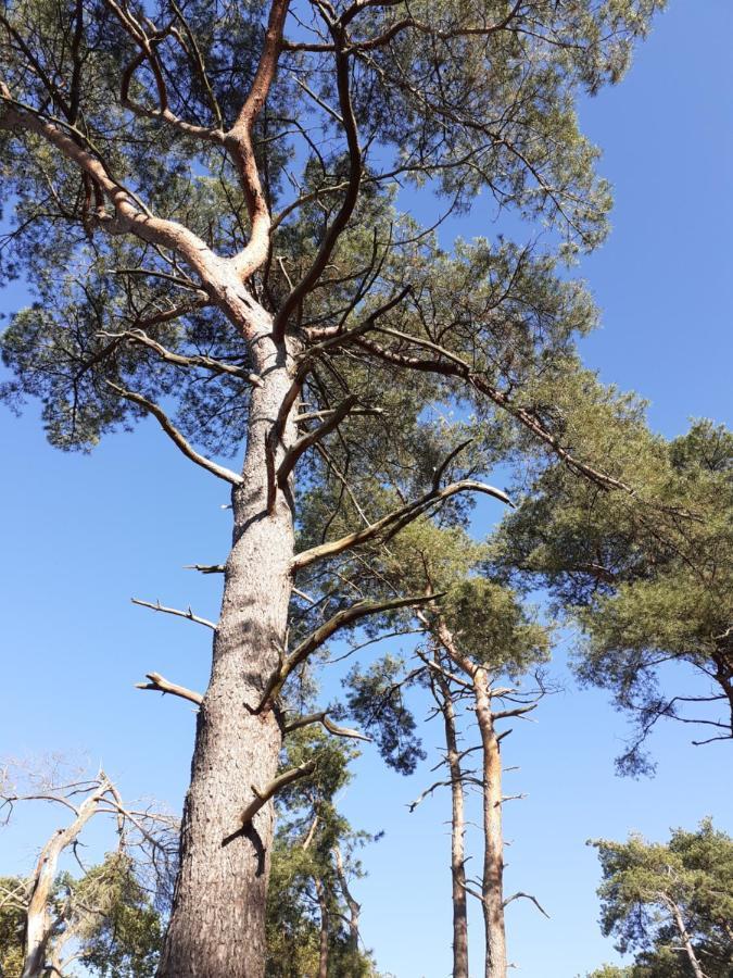 B&B Altijd Zomer Nijlen 外观 照片